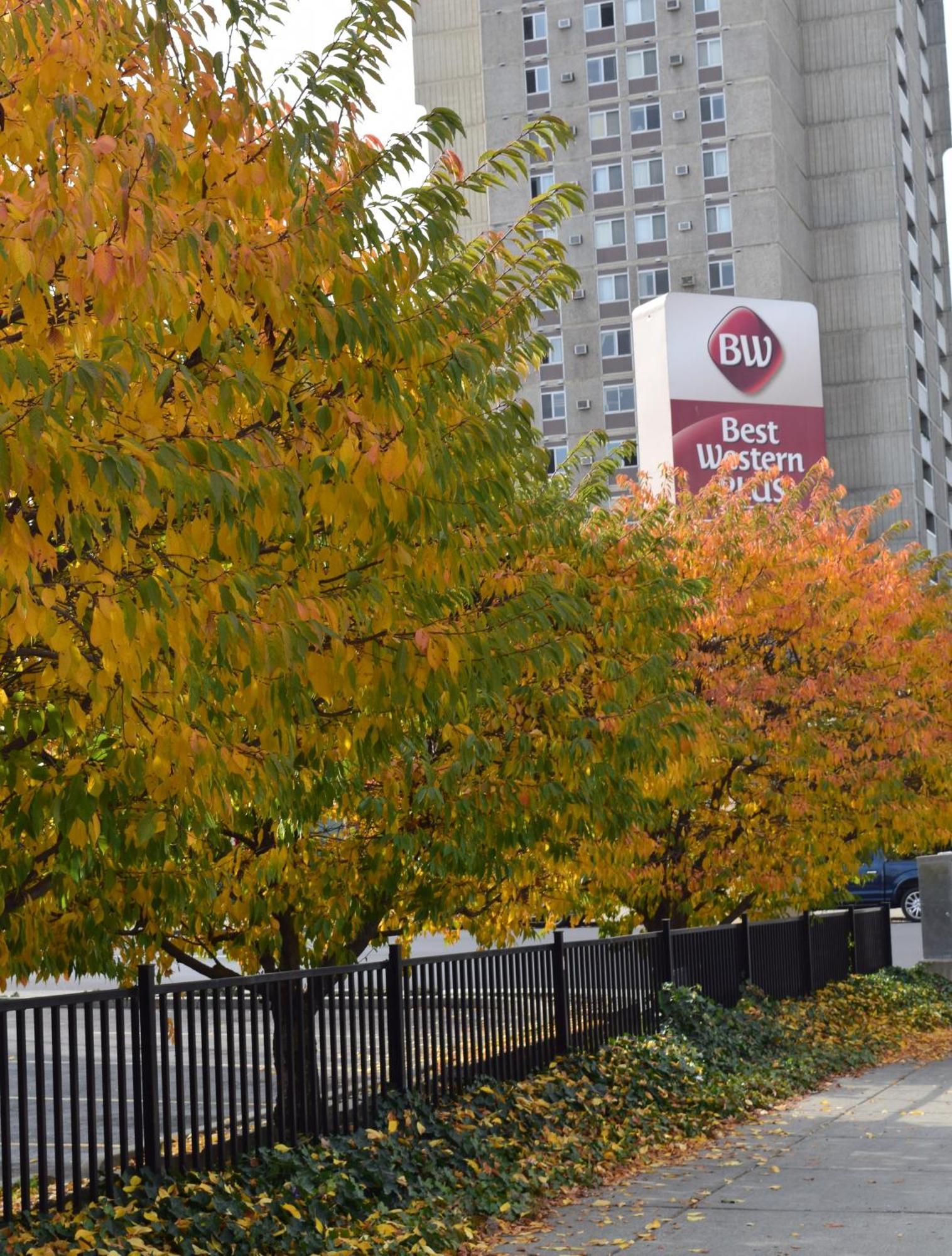 Best Western Plus City Center Спокейн Екстериор снимка